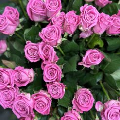 Букет з 51 рожевої троянди 