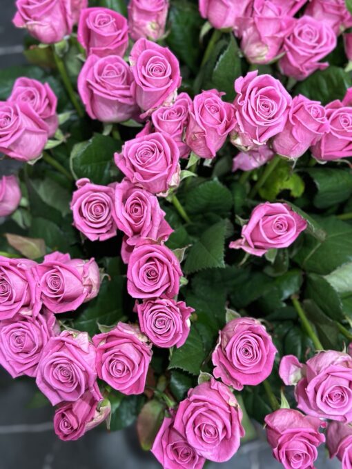 Букет з 51 рожевої троянди "Aqua"