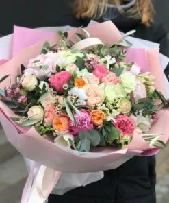 Exclusive Collection