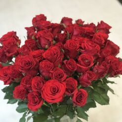 Букет из 25 или 35 красных роз 