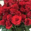 Букет из 25 или 35 красных роз 