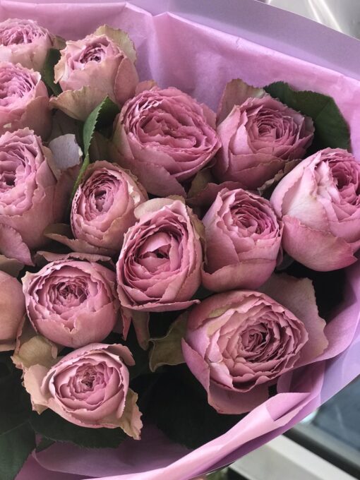 Букет из 19 пионовидных роз "Lavender Lace"