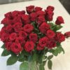 Букет из 19 или 35 красных роз 