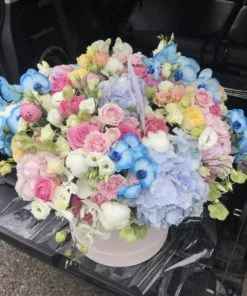 Квіткові композиції