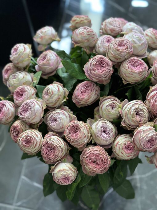 Букет з 15 або 25 піоноподібних троянд "Blossom Bubbles"