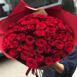 Букет 45 красных роз "Explorer" Эквадор 60см