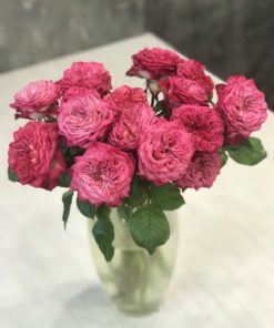 Букет из 11 пионовидных роз 