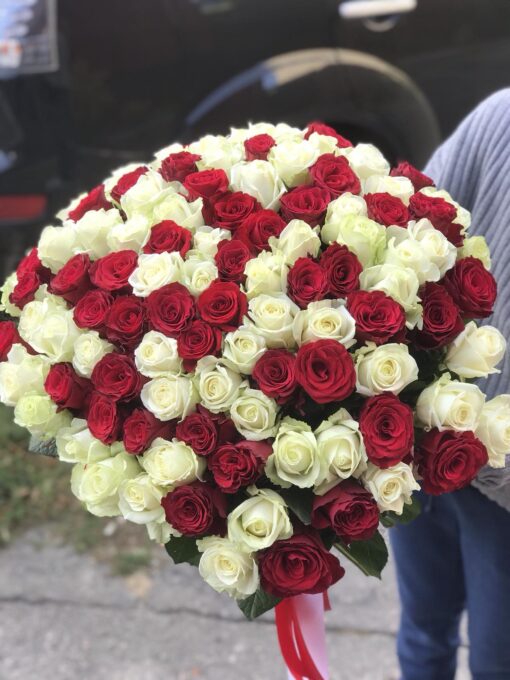 Букет 101 червоно-біла троянда