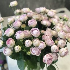 Букет из 15 веток пионовидных роз 