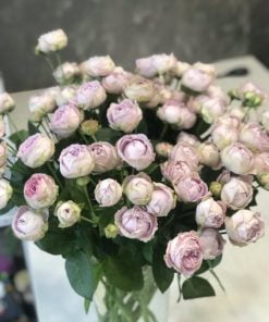 Букет из 15 веток пионовидных роз 