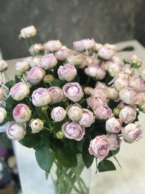 Букет из 15 веток пионовидных роз "Blossom Bubbles"