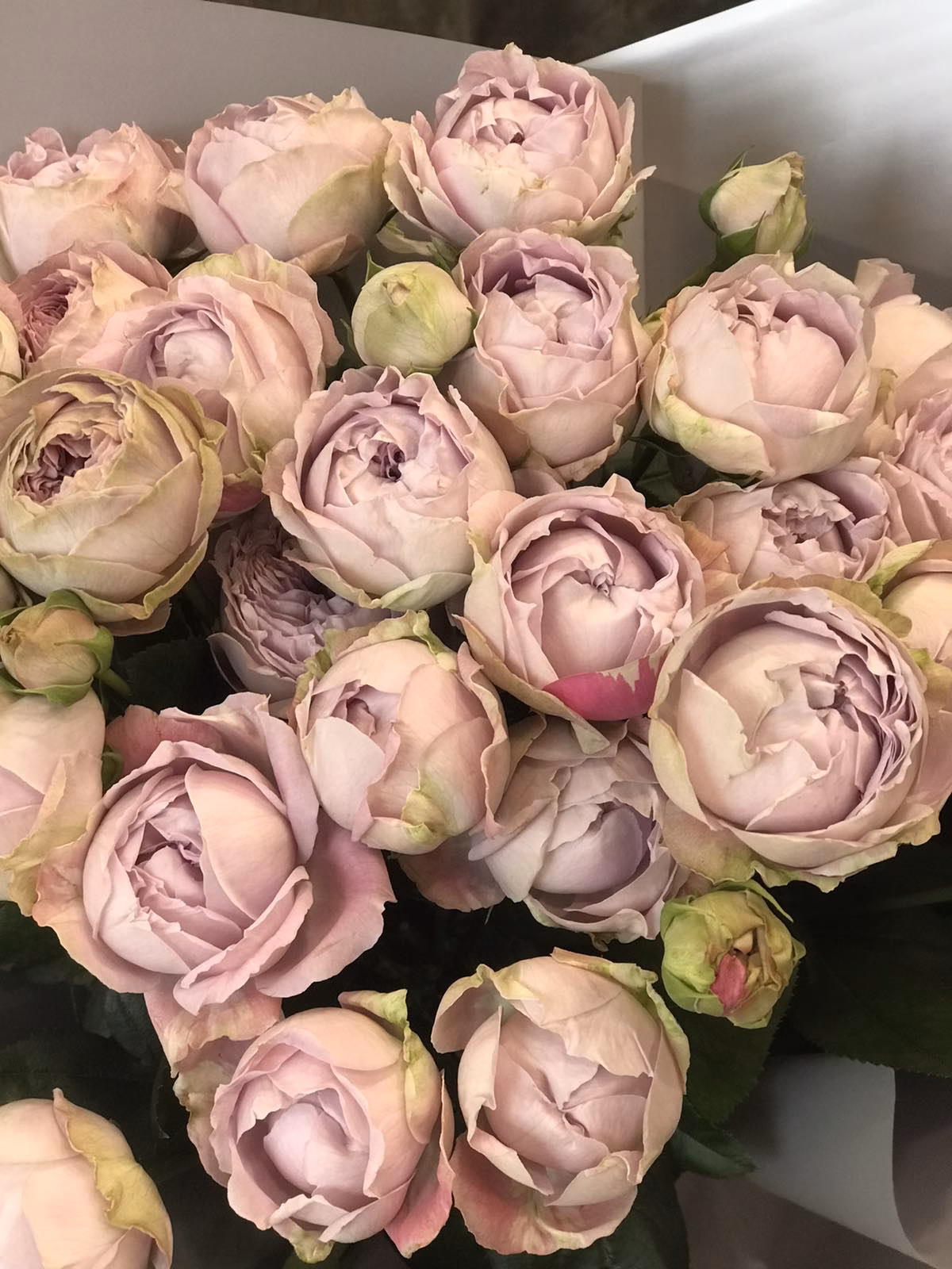 Букет из 9 веток пионовидных роз "Blossom Bubbles"