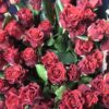Букет из 35 красных роз 