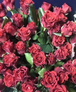 Букет из 35 красных роз 