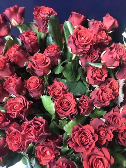 Букет из 35 красных роз "Эльторо" - 60 см