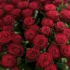 Букет з 35 або 51 червоних троянд 
