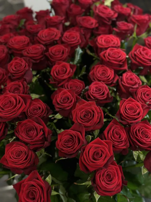 Букет з 35 або 51 червоних троянд "Престиж" 80 см