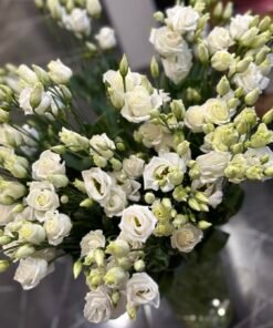Букет з 7 або 11 гілок Білих Еустом