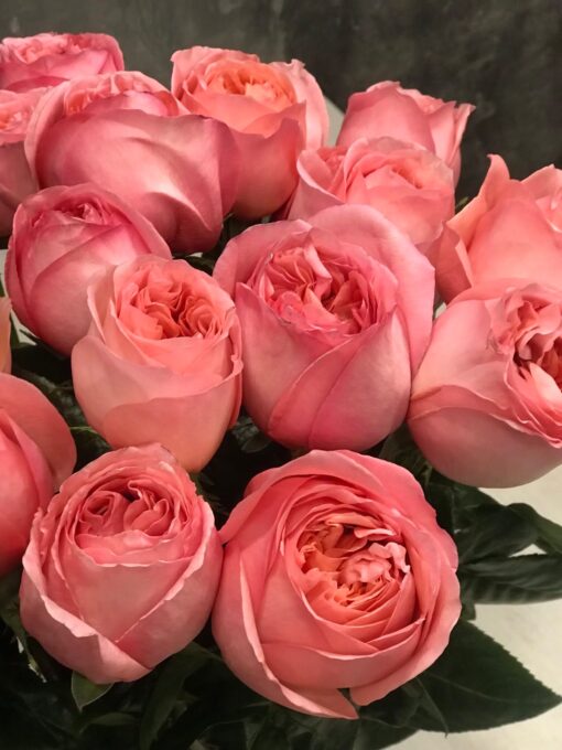 Букет из 9 или 19 пионовидный роз "Pink Expression"