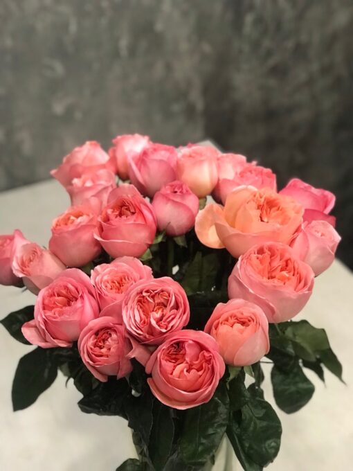 Букет из 9 или 19 пионовидный роз "Pink Expression"