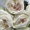 Букет из 7 или 15 пионовидный роз 