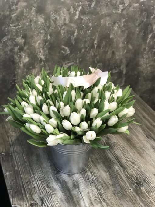 Букет з 55 або 101 білого тюльпана