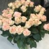 Букет из 31 кремовой розы 