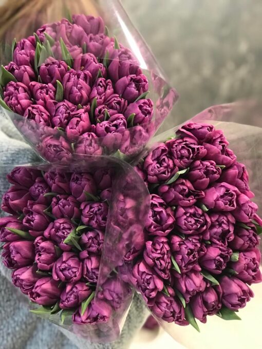 Букет из 25 или 51 Пионовидных тюльпанов "Purple Sky "