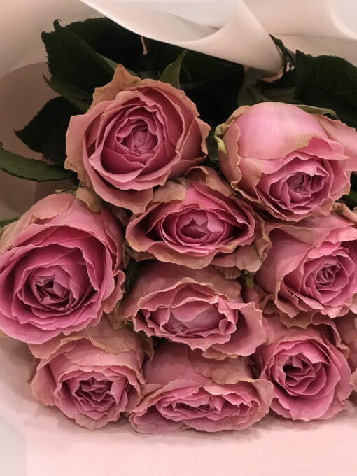 Букет из 11 розовых роз "Wham"