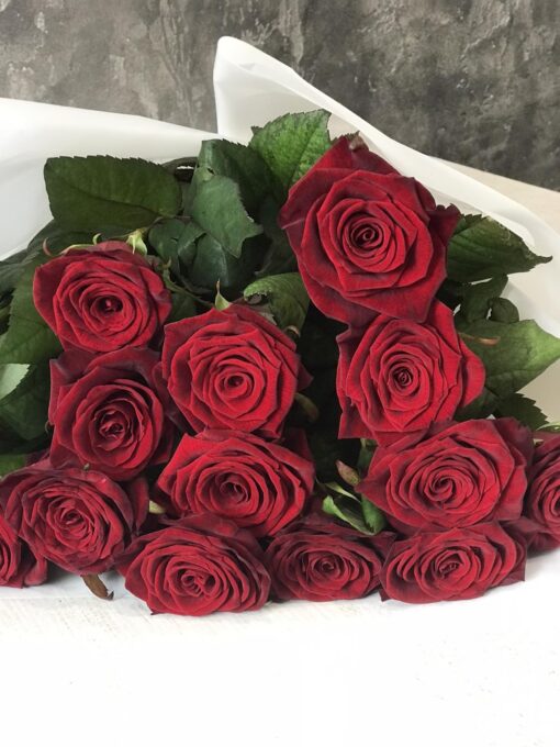 Букет из 11 или 15 красных роз Гран При - 70 см