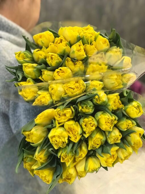 Букет из 15 или 25 Желтых Пионовидных тюльпанов