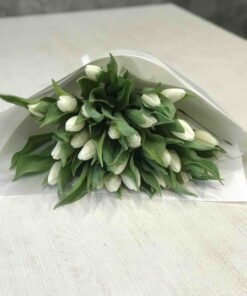 Букет из 25 белых тюльпанов "White Prince"