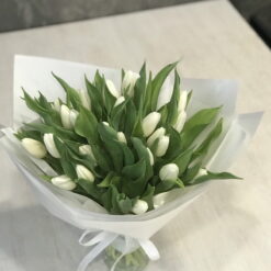 Букет из 25 белых тюльпанов 