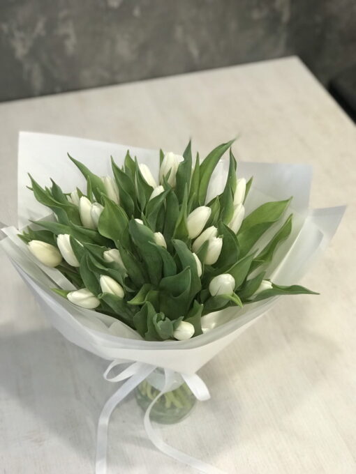 Букет из 25 белых тюльпанов "White Prince"