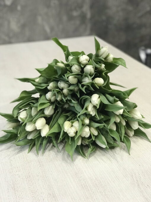 Букет из 35 или 55 белых тюльпанов “White Prince”
