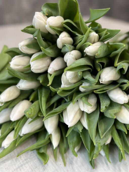 Букет з 51 або 101 білих тюльпанів