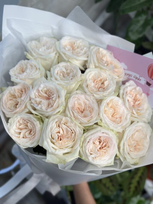 Букет з 7 або 11 піоноподібних троянд "White O'Hara"