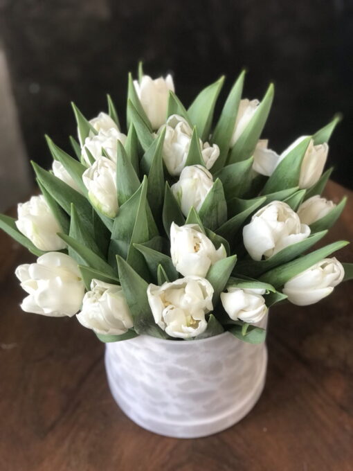 Hat Box - White Tulipe "S"