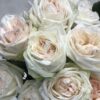 Букет з 7 або 15 піоновидних троянд 