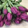 Букет из 35 или 55 фиолетовых тюльпанов