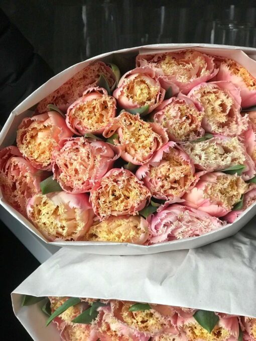 Букет из 15 или 25 бахромистых тюльпанов