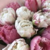 Букет Микс из 25 Пионовидных тюльпанов