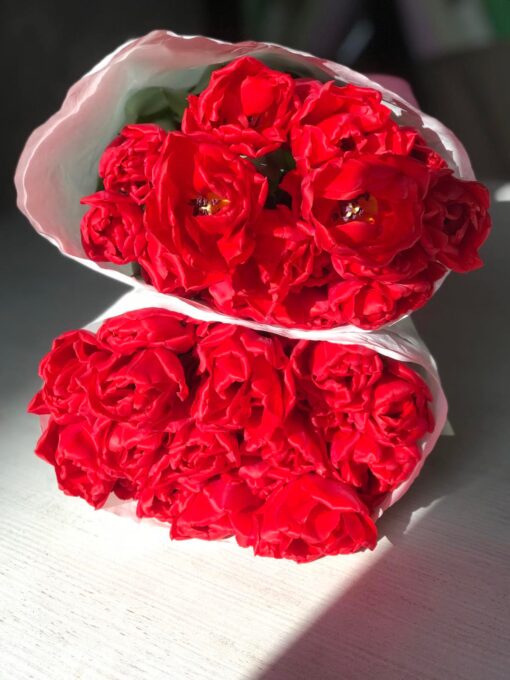 Букет из 19 или 35 Пионовидных тюльпанов «Red Princess»