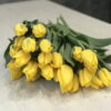 Букет из 35 или 55 желтых тюльпанов