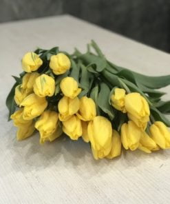 Букет из 35 или 55 желтых тюльпанов