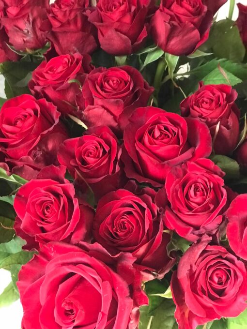 Букет из 39 красной розы "Red Naomi" 60 см