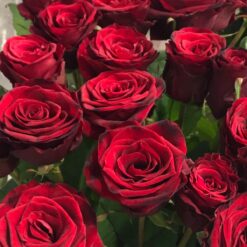 Букет из 19 красных роз 