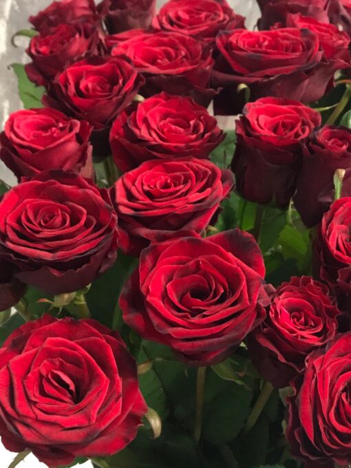 Букет из 19 красных роз "Гран При" 70 см