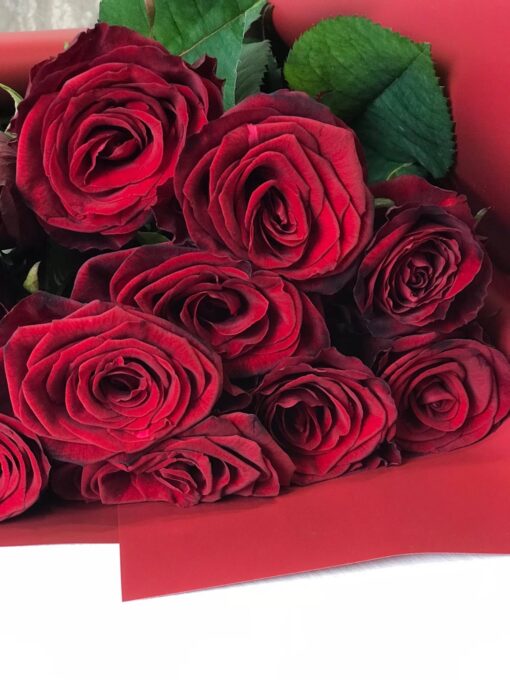 Букет из 11 или 15 красных роз "Гран При" 70 см