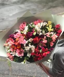 Букет з 51 гілки Альстромерій